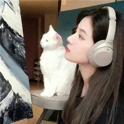 情杀疑云